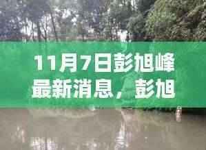 彭旭峰最新动态及要点解析（11月7日更新）