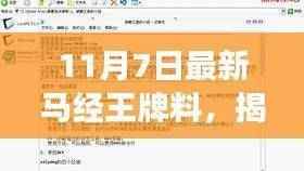 揭秘神秘马经王牌小店,美食冒险的不期而遇之旅(11月7日最新资讯)