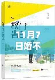 婚不由己,温馨日常的甜蜜篇章(最新章节)