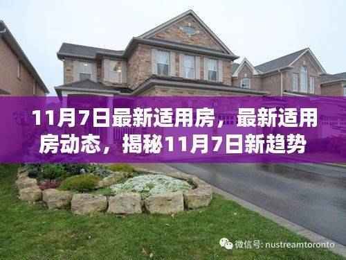 滔滔不绝 第52页