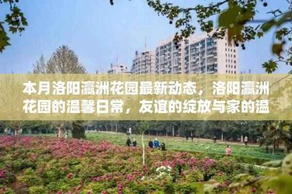 洛阳瀛洲花园本月动态，友谊与家的温馨日常