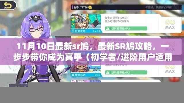 最新SR鸠攻略，从入门到高手的指南（适用于初学者与进阶用户）