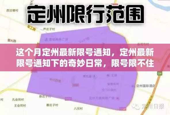 定州最新限号通知背后的日常,情谊与欢乐时光不受限制