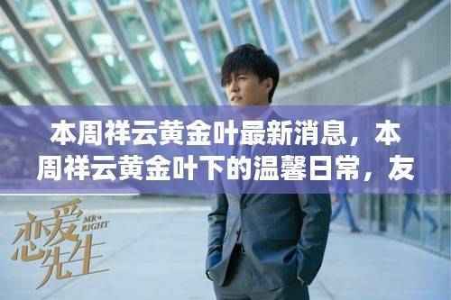 本周祥云黄金叶最新动态,友情、家的温暖与温馨日常的发现