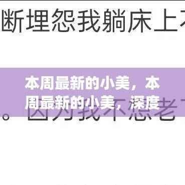 深度解析小美现象,个人观点与本周最新动态