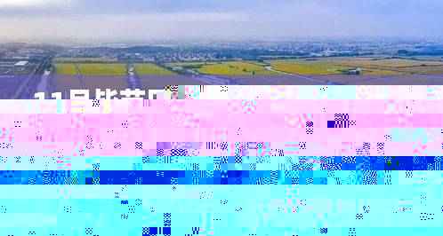 毕节田坝桥镇新规划跃动未来，学习变化，自信筑梦启航