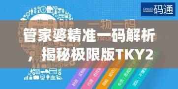 管家婆精准一码解析,揭秘极限版TKY207.91资料