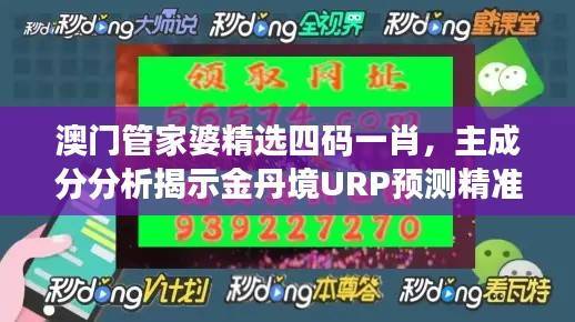 澳门管家婆精选四码一肖,主成分分析揭示金丹境URP预测精准