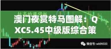 澳门夜赏特马图解:QXC5.45中级版综合策略解析