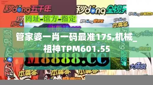 管家婆一肖一码最准175,机械_祖神TPM601.55
