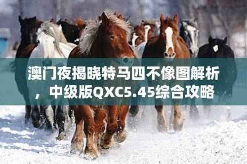 澳门夜揭晓特马四不像图解析,中级版QXC5.45综合攻略