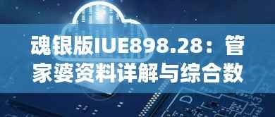 魂银版IUE898.28：管家婆资料详解与综合数据解读