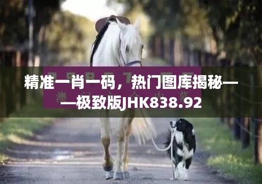 精准一肖一码,热门图库揭秘——极致版JHK838.92