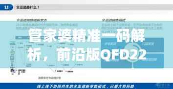 管家婆精准一码解析,前沿版QFD224.93深度解读