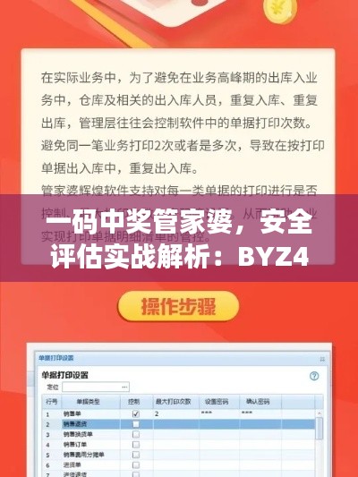 一码中奖管家婆,安全评估实战解析:BYZ459.37真体验