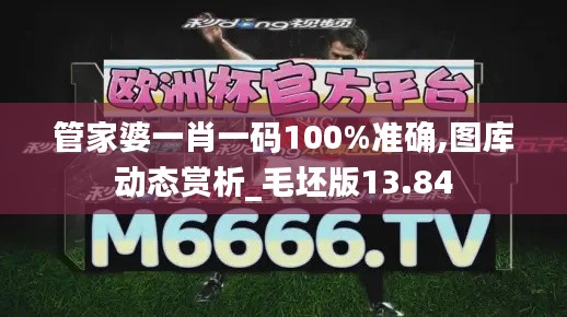 管家婆一肖一码100%准确,图库动态赏析_毛坯版13.84