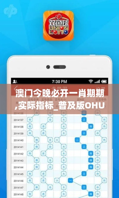 澳门今晚必开一肖期期,实际指标_普及版OHU333.65