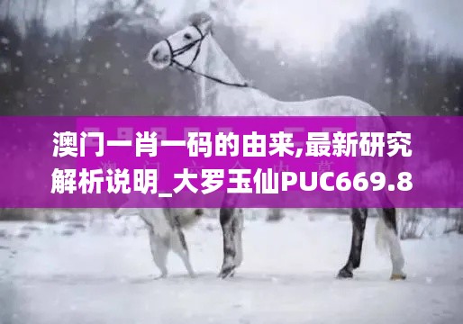 澳门一肖一码的由来,最新研究解析说明_大罗玉仙PUC669.83