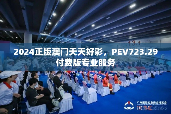 2024正版澳门天天好彩,PEV723.29付费版专业服务