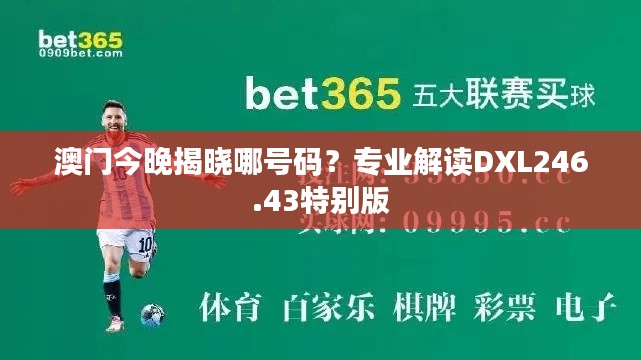 澳门今晚揭晓哪号码?专业解读DXL246.43特别版
