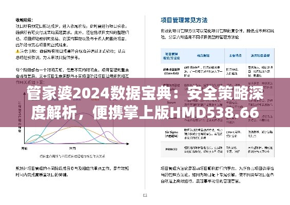 管家婆2024数据宝典:安全策略深度解析,便携掌上版HMD538.66