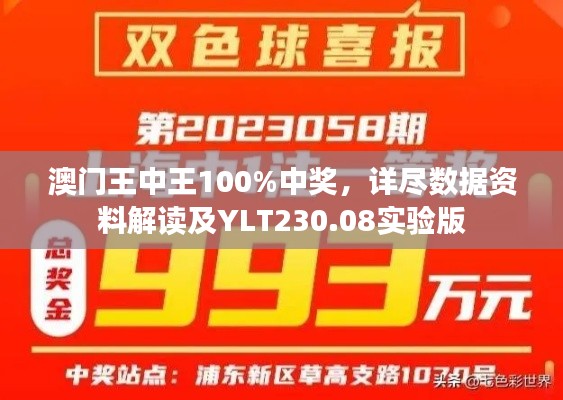 澳门王中王100%中奖,详尽数据资料解读及YLT230.08实验版