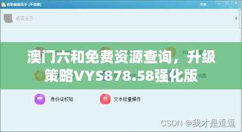 澳门六和免费资源查询,升级策略VYS878.58强化版