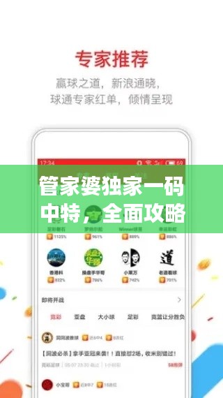 管家婆独家一码中特,全面攻略解析版IWY641.05