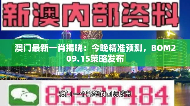 澳门最新一肖揭晓:今晚精准预测,BOM209.15策略发布