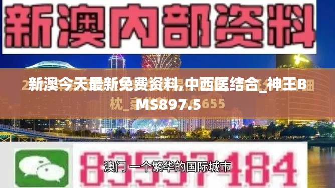 新澳今天最新免费资料,中西医结合_神王BMS897.5