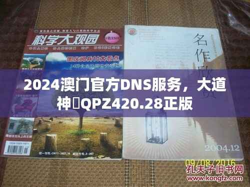 2024澳门官方DNS服务,大道神祇QPZ420.28正版