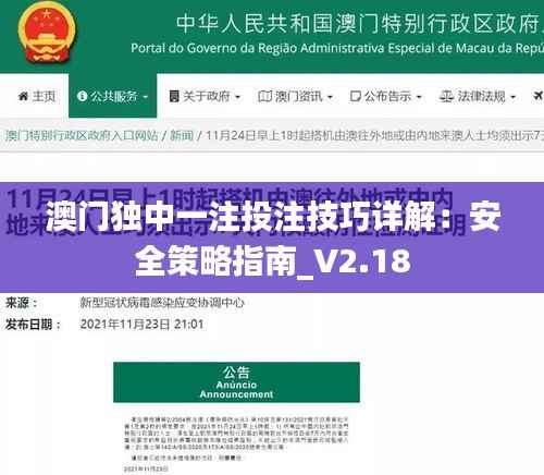 澳门独中一注投注技巧详解:安全策略指南_V2.18