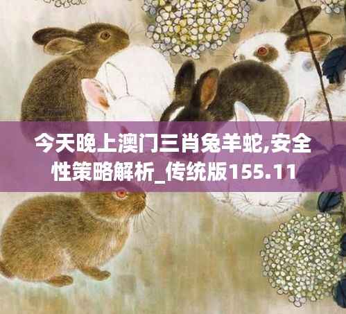 今天晚上澳门三肖兔羊蛇,安全性策略解析_传统版155.11