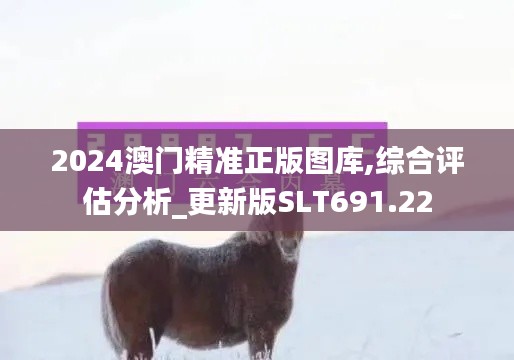 2024澳门精准正版图库,综合评估分析_更新版SLT691.22