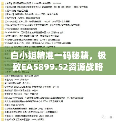 白小姐精准一码秘籍,极致EAS899.52资源战略