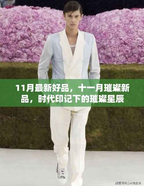 十一月璀璨新品,时代印记下的璀璨星辰