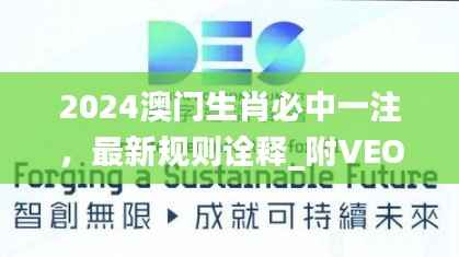 2024澳门生肖必中一注,最新规则诠释_附VEO252.94版