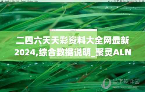 二四六天天彩资料大全网最新2024,综合数据说明_聚灵ALN345.84