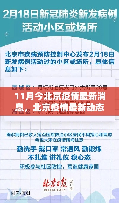 北京疫情最新动态解析与应对指南(初学者与进阶用户必备参考)