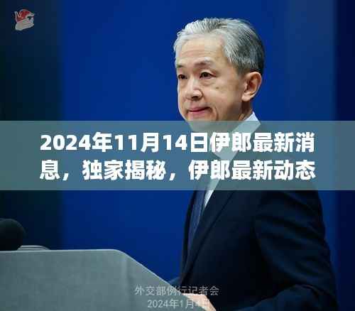 独家揭秘,伊郎最新动态深度解读——2024年11月14日最新消息速递