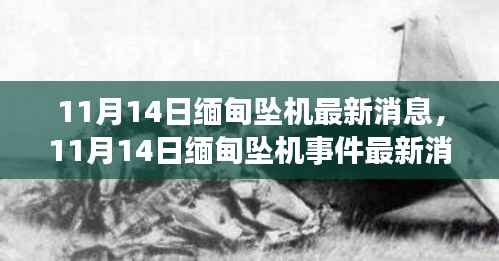 缅甸坠机事件最新进展全面解读,步骤指南与最新消息(11月14日更新)