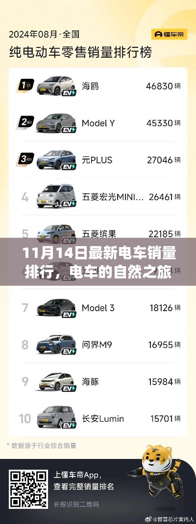 电车的自然之旅,最新销量排行榜背后的故事(11月最新数据)