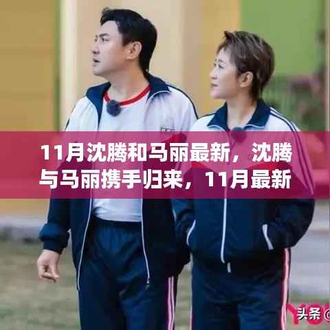 沈腾与马丽11月最新作品，深度解析与体验评测重磅来袭！