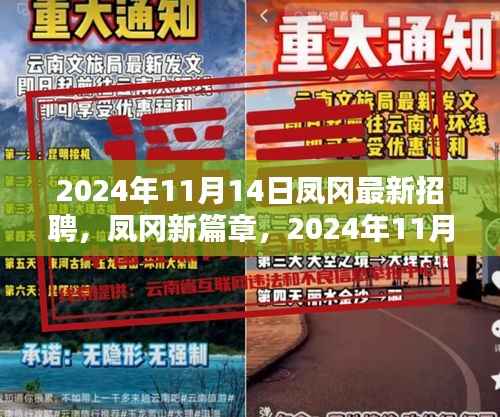 凤冈新篇章,2024年人才招聘潮的崛起与影响