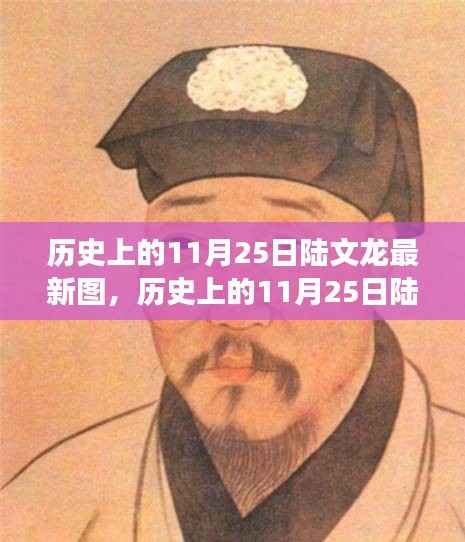历史上的陆文龙,深度解读与观点阐述的最新图集(11月25日版)