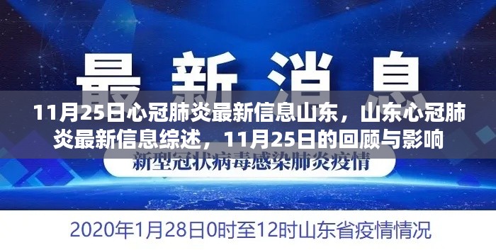 山东新冠肺炎最新信息综述,11月25日回顾与影响分析