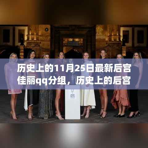 揭秘历史上的后宫佳丽与QQ分组背后的文化印记,11月25日的特殊纪念意义