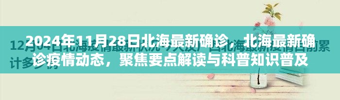 北海疫情最新动态,聚焦确诊案例解读与科普知识普及(2024年11月28日更新)
