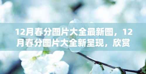 12月春分图片大全新呈现,欣赏季节之美的瞬间