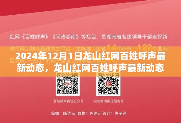 龙山红网百姓呼声最新动态及民意探析,2024年观察下的民意走向报告